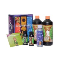 Kit ATA Coco Max Bloombastic Box